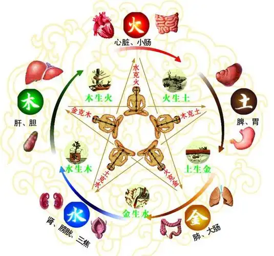 易经八卦与人体经络