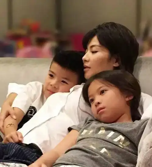 刘涛:绝望主妇重拾人生,才能变身傲骨贤妻!|王珂|安迪|王祖蓝|林志颖_