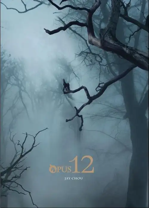 如何评价周杰伦的专辑《十二新作》? - 知乎