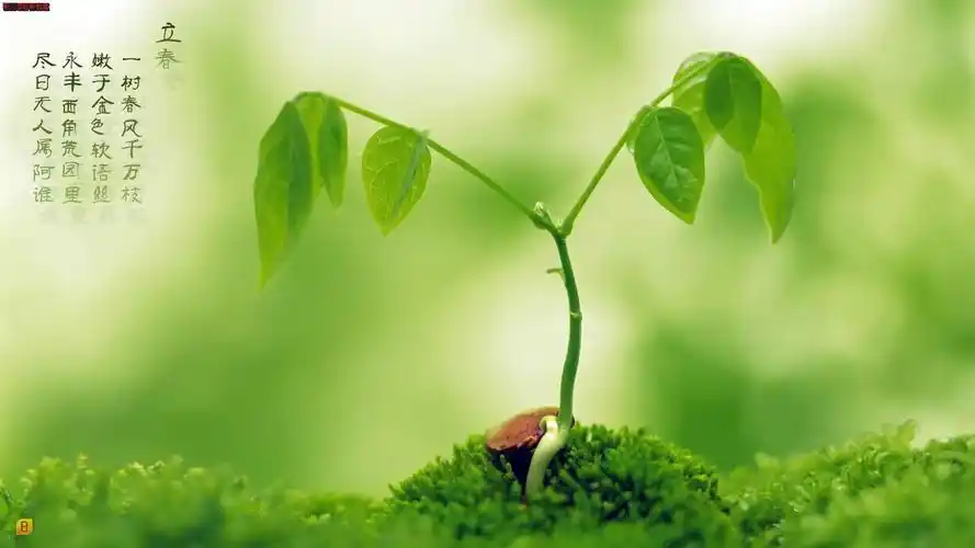 2021年立春带字图片大全,立春微信祝福语