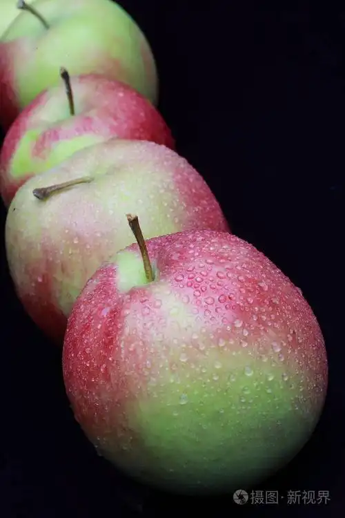 在黑色背景下的露水中的苹果
