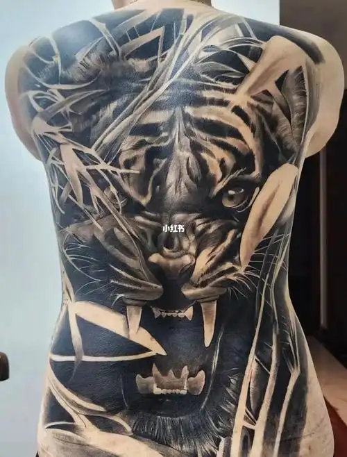 满背老虎恢复一个月客反