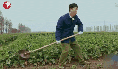 黄渤挑粪张艺兴吃草极限挑战成变形计网友被猪扎了心