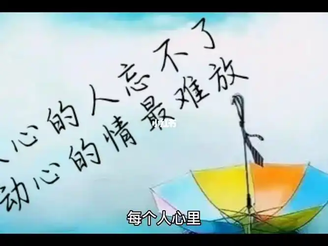 每个人心里都有一个爱而不得