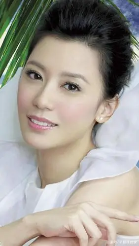 贾静雯气质写真照,太漂亮了