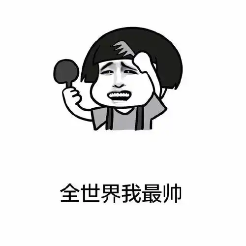 全世界我最帅 - 大家好,我叫帅哥 帅哥的帅 帅哥的哥_金馆长_表情头牌