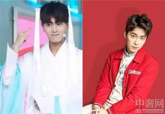 任嘉伦顶替李易峰 网友直呼品牌商想不开