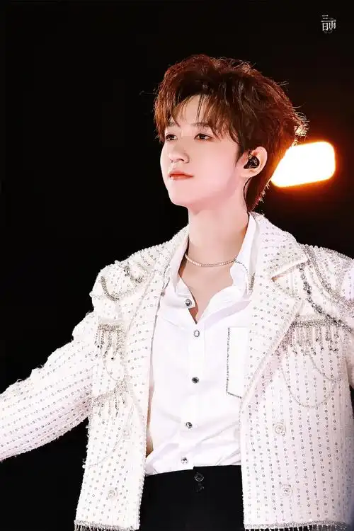 贺峻霖理想之途演唱会