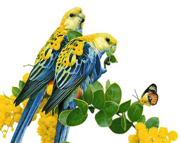 599_476gif 动态图 动图