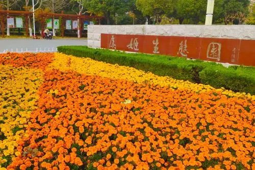 美如画卷!三石带你走进秋冬时节的沭阳虞姬生态园_手机搜狐网