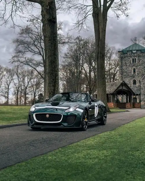 很难自拔#情怀车  #汽车  #jaguar  #捷豹  #捷豹ftype  #跑车  #汽车