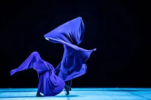 舞团力推青年编导新作,金星:中国的现代舞不只需要"金星"这一棵大树!