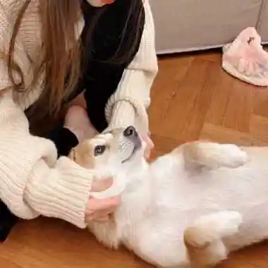 对象不是人情头乖巧头像