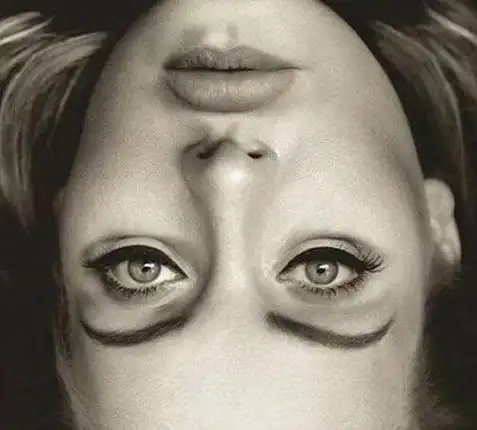 一张图倒过来看吓死人 40张不该存在的照片 千万不要放大看的图片