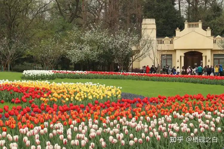 杭州打卡地太子湾公园
