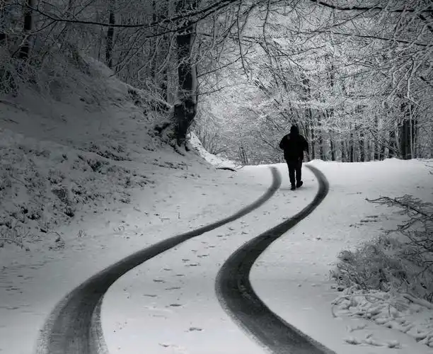 雪中行走背影图片