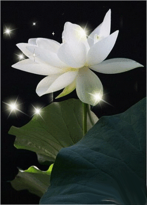 分类 2021年 11月 一 二 三 四 五 六 日 1 2 3 4 5 6 7 8 9 10 11 12