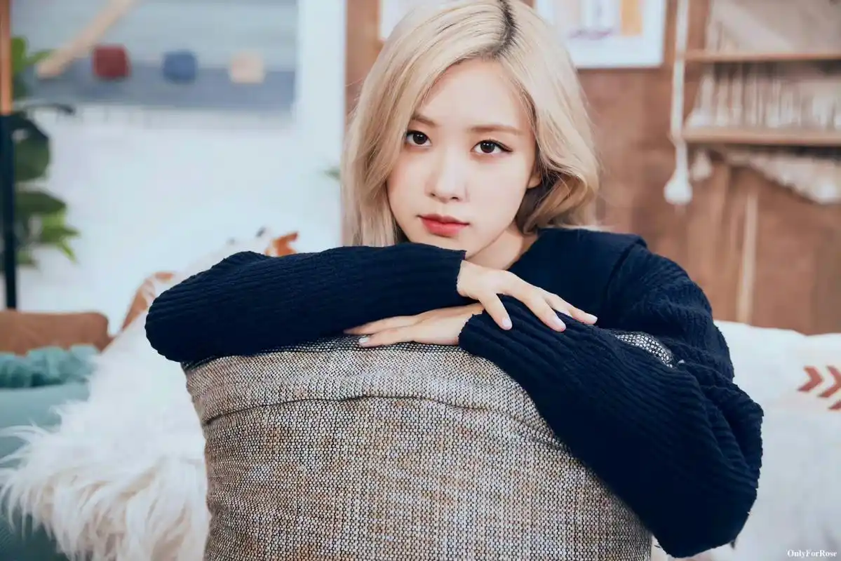 朴彩英是枚清清白白大美女,优秀又大方