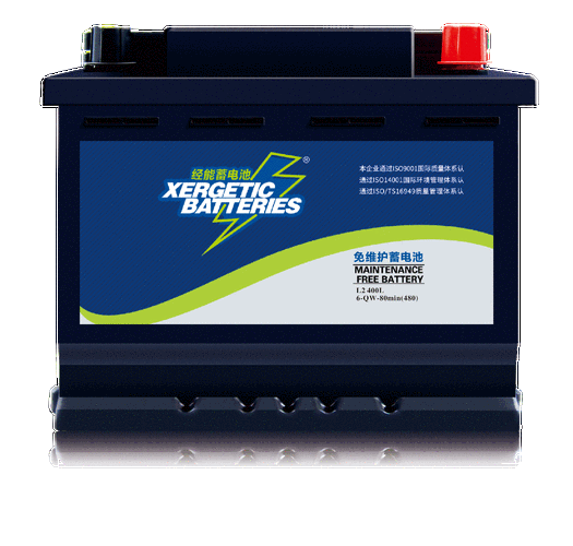 普通免维护蓄电池