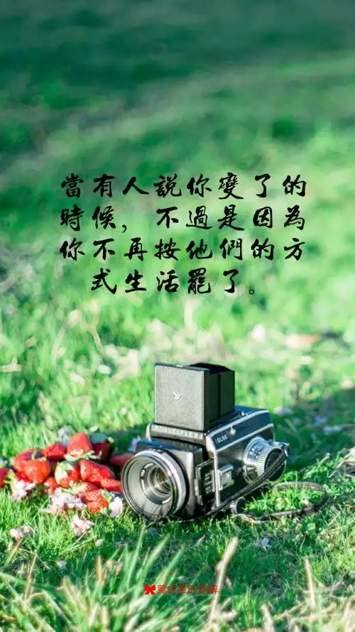 6 plus高清壁纸,文字,告白,爱情,励志,情书,阳光,温暖,语录,手写心情