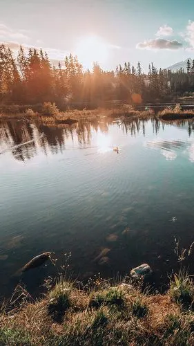 野外丛林中的安静小湖风景手机壁纸