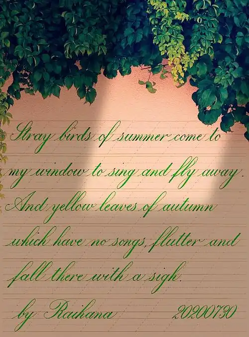 【周侗英文书法】圆体一期,毕业作品集