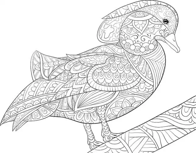 成人涂色书页一个可爱的抽象背景图像为re图片素材