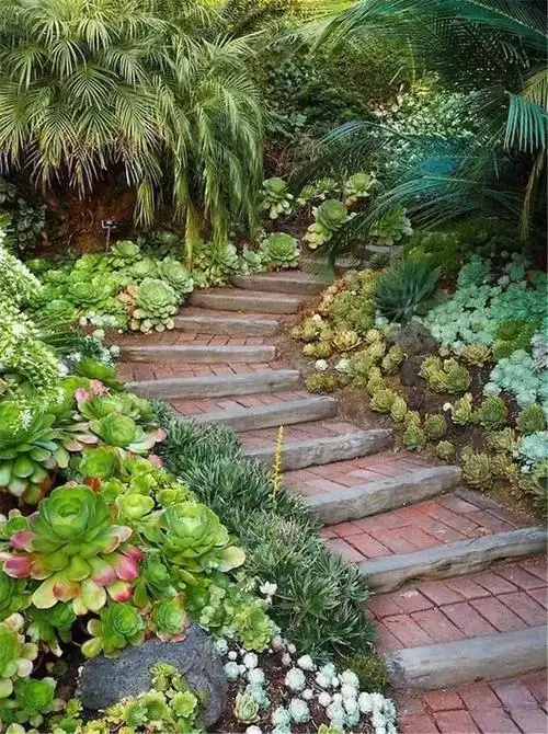 [分享]多肉庭院这样种,比花园还美