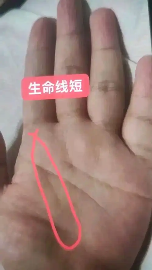 生命线短就一定很差吗
