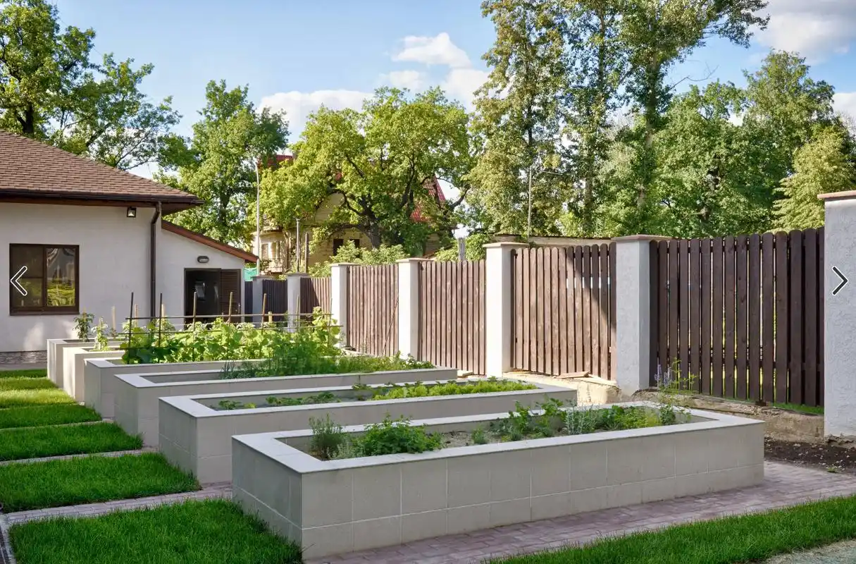 用藤条编制出蔬菜分割区域,种植了多种多样的蔬菜 转