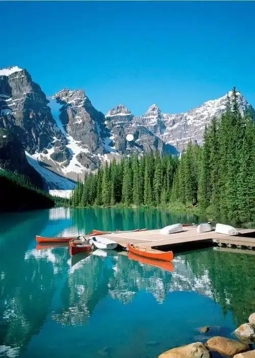 每年十月它将变成地球上最美的地方,这条梦幻大道你别去:太美!