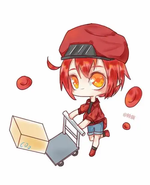 工作细胞红细胞