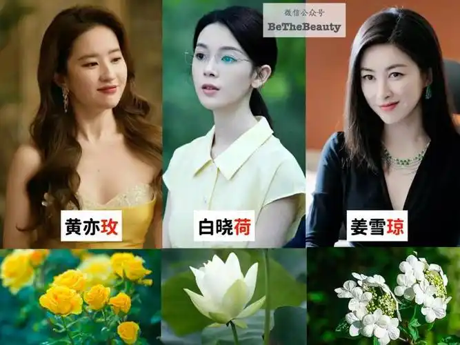 王星越vs刘亦菲:改名=变美 改命?科学来讲,哪种名字最加吸引力?