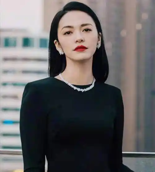 结束与凌潇肃8年婚姻后,40岁再度大火的姚晨,靠的不只是努力_曹郁