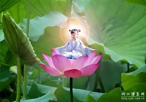 【诗词歌赋文】传莲花 - hpdhb - hpdhb的博客