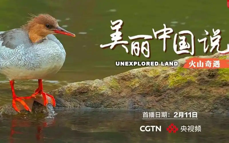 首部8k纪录片美丽中国说之火山奇遇4khdr