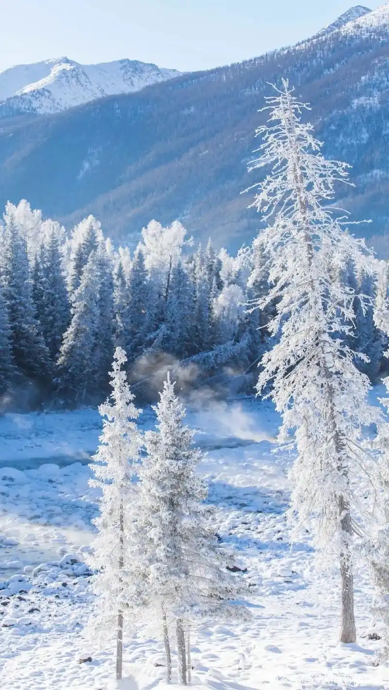 新疆冬季限定款壁纸|予你一场五彩的浪漫之旅!