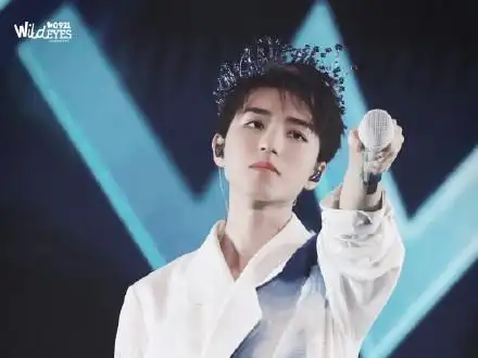 随他降落人间 #2019王俊凯无边界演唱会# 净化,转发时把【toupiao