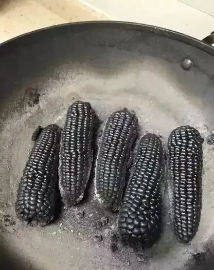 真·奇葩009599其他失败也是真的失败,比如黑不溜秋红烧肉:如碳