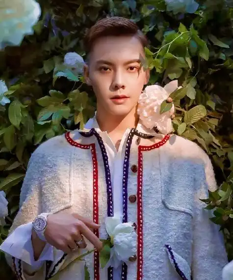 陈伟霆详细资料介绍