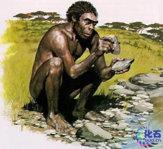 那些曾经生活在地球上的"人类"同胞(下)