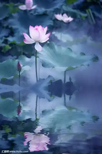 禅意,古风,意境,静