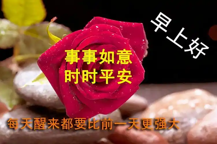 2021最新早上好动画漂亮表情图片牛年大吉早安问候图片大全