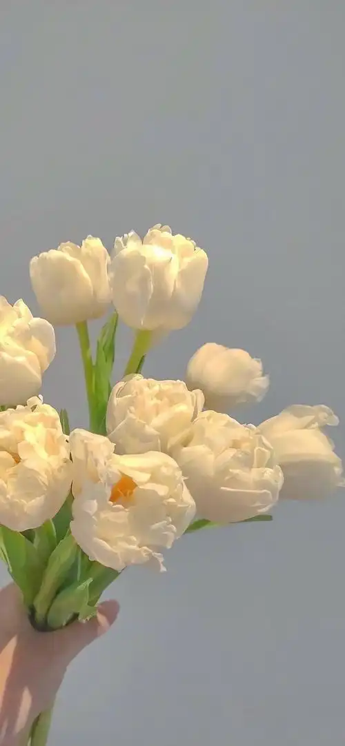 分享一下最近很喜欢的壁纸