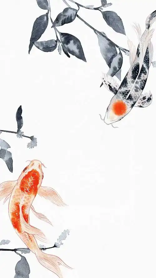 有哪些百看不厌的锦鲤壁纸?