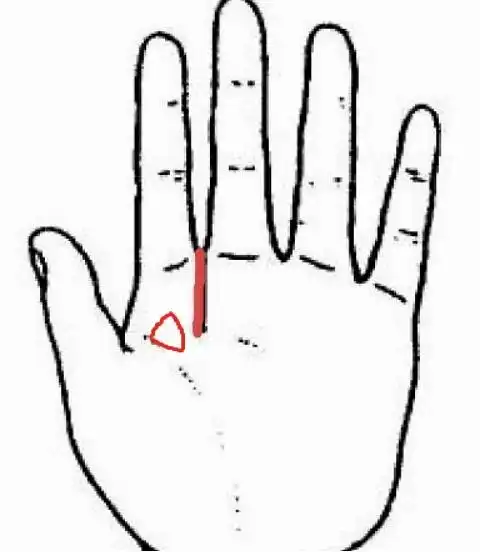 智慧线,又称思想线,位于掌心中间,向月丘倾斜,是三大主线最重要的一条