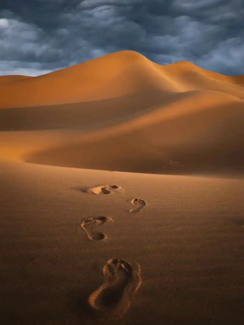 这里是沙漠,但这里不只有有沙漠——腾格里沙漠 #旅行推荐官 - 抖音