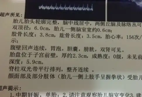 女性朋友们在怀孕之后做四维彩超,会看到双顶径的数据.