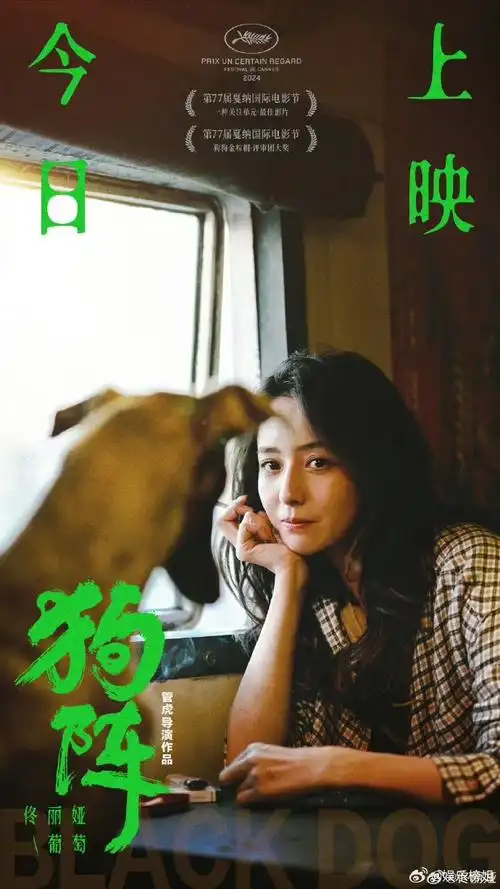 佟丽娅一天两部