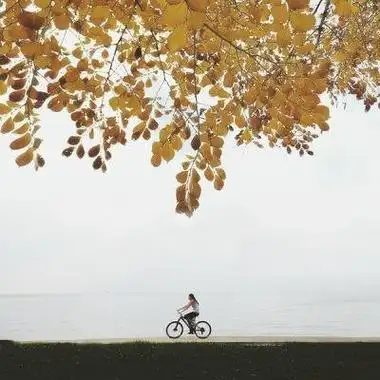 风景微信头像女生专用好看唯美 女生头像图片大全 -【爱个性】